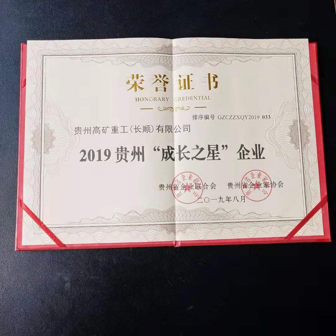 新2体育-中国有限公司荣获2019贵州“成长之星”企业称号
